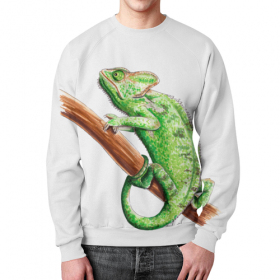 full_print_sweatshirt с принтом Зеленый хамелеон на ветке в Ульяновске,  |  | Тематика изображения на принте: 